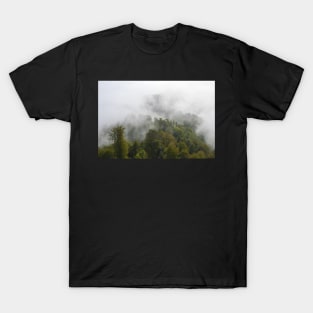 Forest & Fog T-Shirt